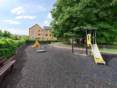 Picture 20